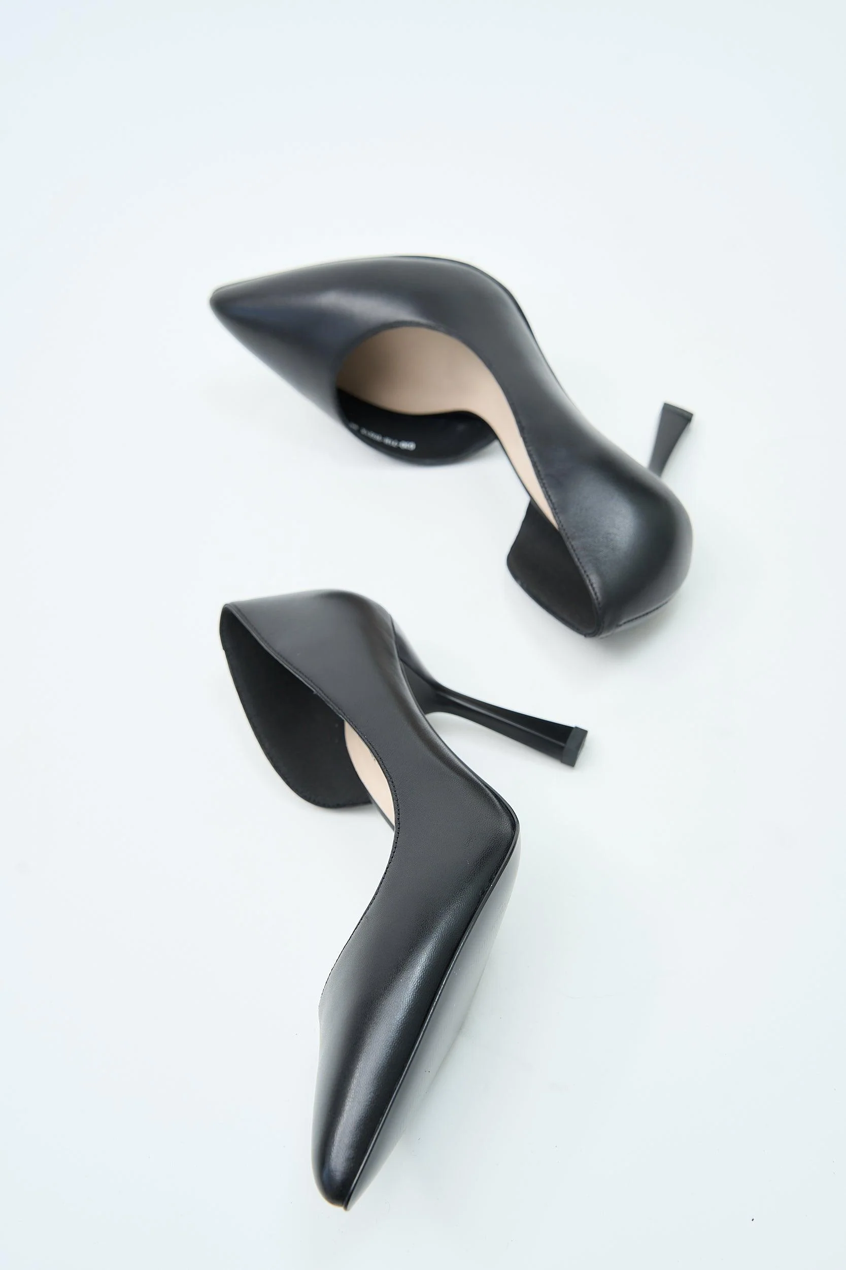 Dani Black - Image 5