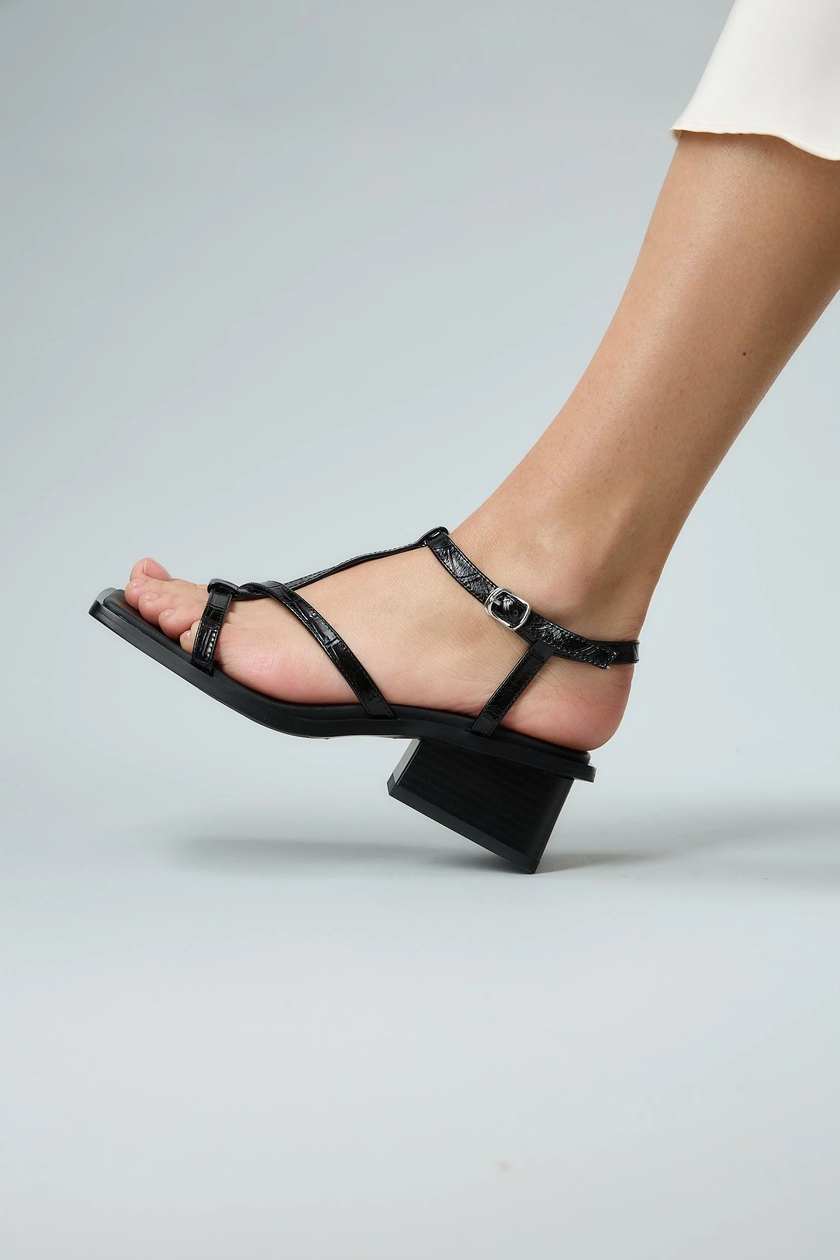 Marta Black - Image 5
