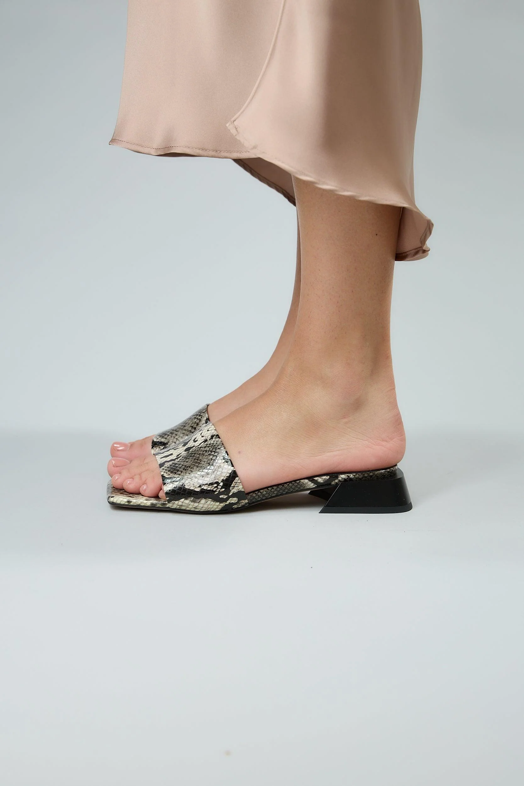 Snake Black - Image 6